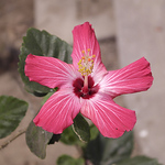 Profile Picture of Claudia Suarez Garcia (@claudia suarez g) on Flickr