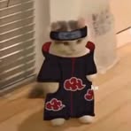 Profile Picture of Mohammad Akbarzadeh (@Mohammad-Akbarzadeh) on Facebook