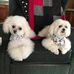 Profile Picture of Carolyn Crum (@carolyn.crum.94214) on Facebook