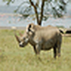 Profile Picture of Eric  Joseph (@newadventuresafari) on Flickr