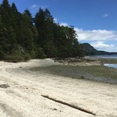 Profile Picture of S (@ShannonKeefe333) on Twitter