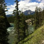 Profile Picture of John Grissom (@sumobiomer) on Instagram