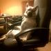 Profile Picture of Brian Hurlburt (@brian.hurlburt.7140) on Facebook