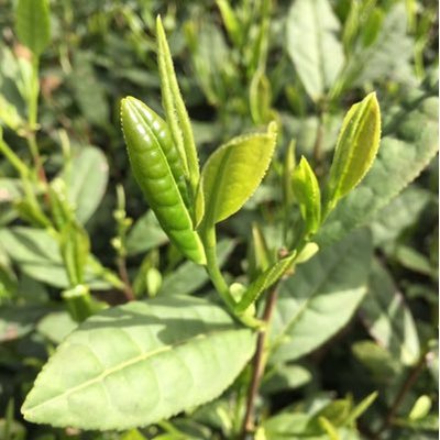 PeterWin - Twitter Profile Picture of PeterWin (@PeterWin2017) on Twitter