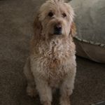Profile Picture of Brett Sharpless (@brett.sharpless5) on Instagram