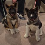 Profile Picture of I Love Marta (@davidkuzminski13) on Instagram