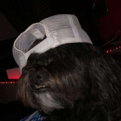 Profile Picture of Matthew Sprouse (@MatthewSprous12) on Twitter