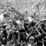 Jesse Jackman - Instagram Profile Picture of Jesse Jackman (@moshnowordie) on Instagram