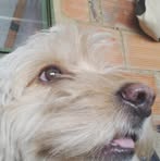 Profile Picture of Andres Ulloa (@Andres-Ulloa) on Facebook