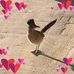 Profile Picture of Andrea Alvord (@andrea.alvord.1) on Facebook