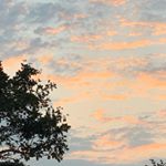 Profile Picture of Cassandra (@cassandraa.fung) on Instagram