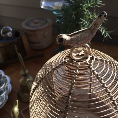 Profile Picture of Shelley OneEyeOnTraitorsOtherEyeForward Ferguson (@jpmugwump) on Twitter