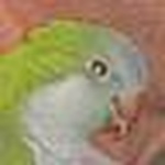 Profile Picture of Steve Tanner (@s and j) on Flickr