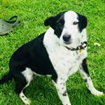 Profile Picture of Tom Rutter (@tom.rutter._) on Instagram