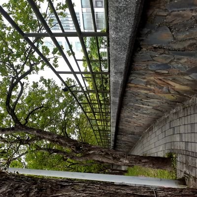 Profile Picture of Andy H. A. Chen (@Gay_teen_14_soo) on Twitter