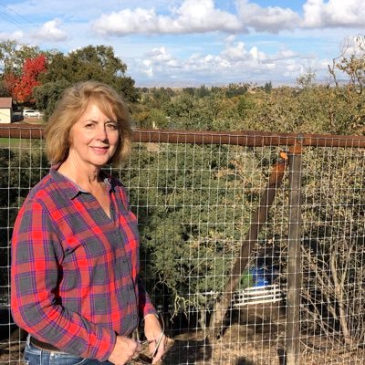 Profile Picture of Kimberly Reid (@KCRedesignMME) on Twitter