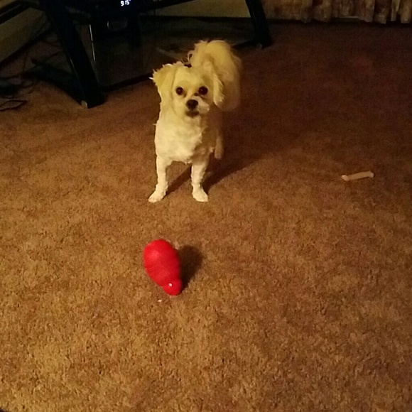 Profile Picture of Kathy Coffay (@coffay6) on Poshmark