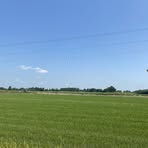 Profile Picture of Annette Davidson (@Annette-Davidson) on Facebook