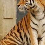 Стела - Instagram Profile Picture of Стела (@zinovyevanu7) on Instagram