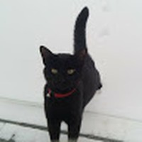 Profile Picture of Lara Nickle (@lara-nickle-1) on Quora