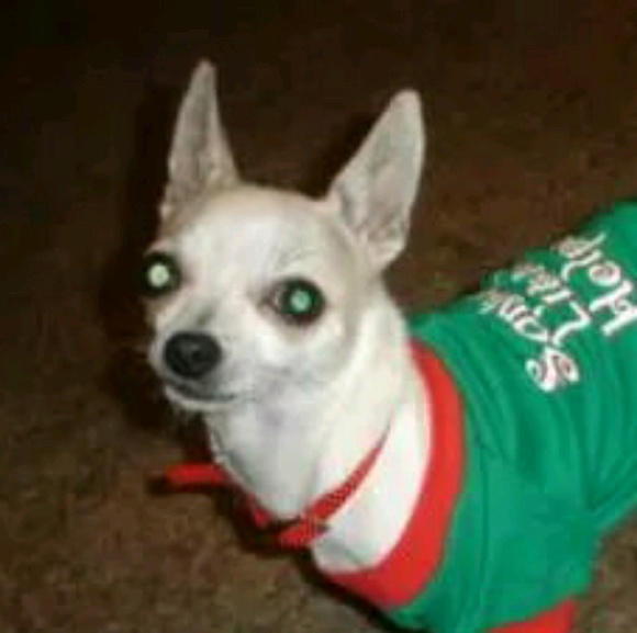 Profile Picture of Pamela Stierwalt (@pstierwalt) on Poshmark