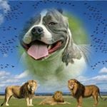 Profile Picture of Jose Membreño (@jose.membreno.12576) on Instagram