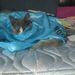 Profile Picture of Alayna_boom (@alaynabloom) on Pinterest