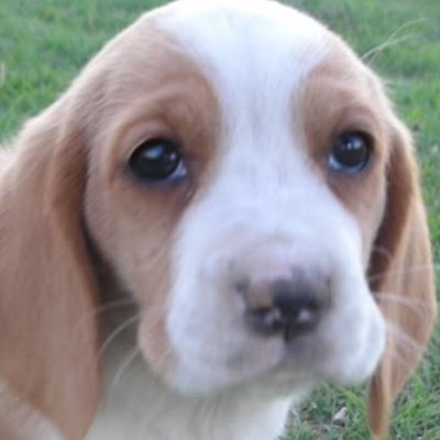 Profile Picture of JaVaughn Roberts (@JaVaughnRobert4) on Twitter