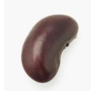 Profile Picture of Zachary Yahn (@YahnZachary) on Twitter