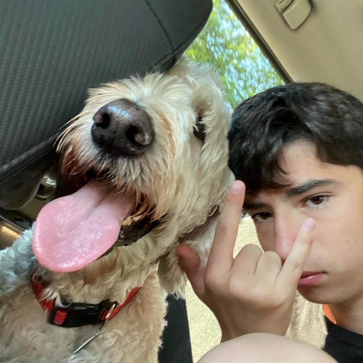 Profile Picture of David Dufresne (@daviddufresne_) on Tiktok