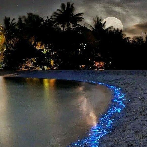 Profile Picture of Stefanie Rude (@sassystef8) on Poshmark