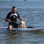 Profile Picture of Dave Peake (@papa_d_66) on Instagram