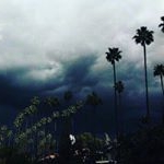 Profile Picture of 🌞Weimer (@y_o_u_r_f_o_o_l) on Instagram