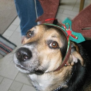 James Logsdon - Myspace Profile Picture of James Logsdon (@220308802) on Myspace