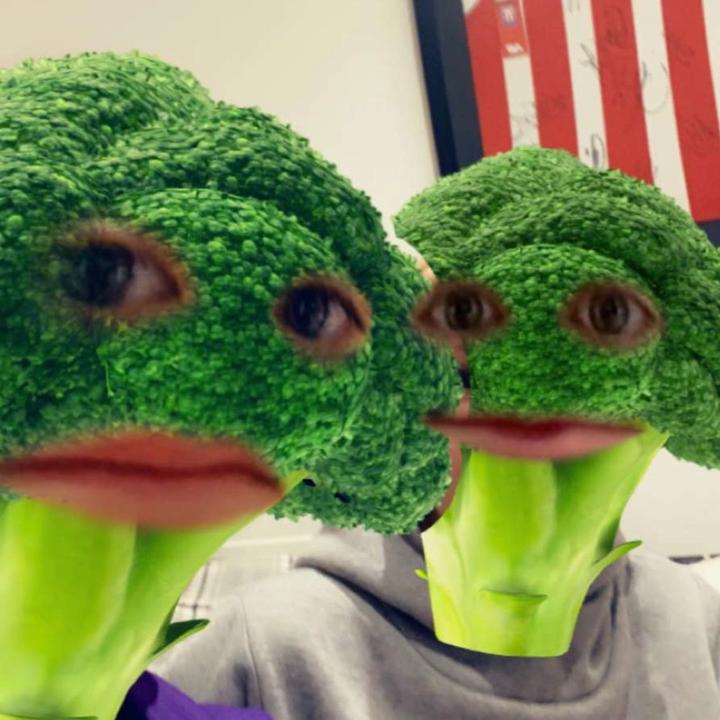 Profile Picture of Only people ik can follow (@alf_sinclair_) on Tiktok