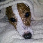 Profile Picture of Kyle Krieg (@kylekrieg) on Instagram