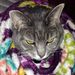 Profile Picture of Campbell Hayes (@campbell_hayes) on Pinterest