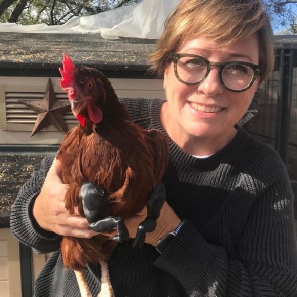 Profile Picture of Darcy Chapman (@philanddarcy) on Poshmark