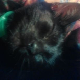 Profile Picture of Curtis R (@CurtisRitter) on Twitter