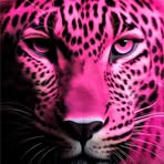 Profile Picture of Keycha Michel (@keycha.michel) on Facebook