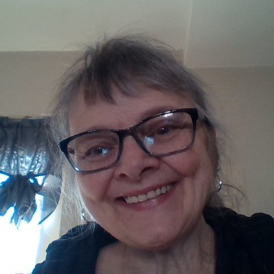 Profile Picture of Susan Banner Todd (@susanbannertodd) on Twitter