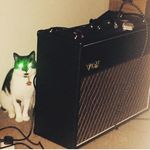 Profile Picture of Stuart Haynes (@discostu1969) on Instagram