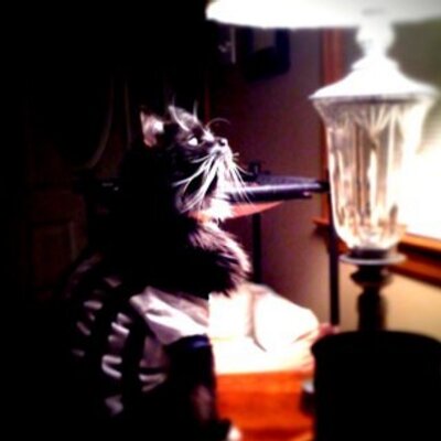 Profile Picture of Joshua Hoch (@joshuahoch) on Twitter