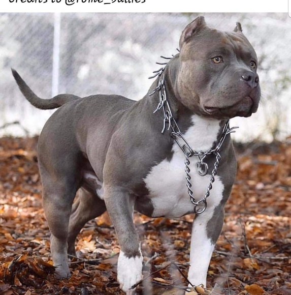 Profile Picture of Tony Biggs (@thirdeye461) on Poshmark