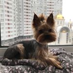 Profile Picture of julia_muzafarovaa (@julia_muzafarovaa) on Instagram