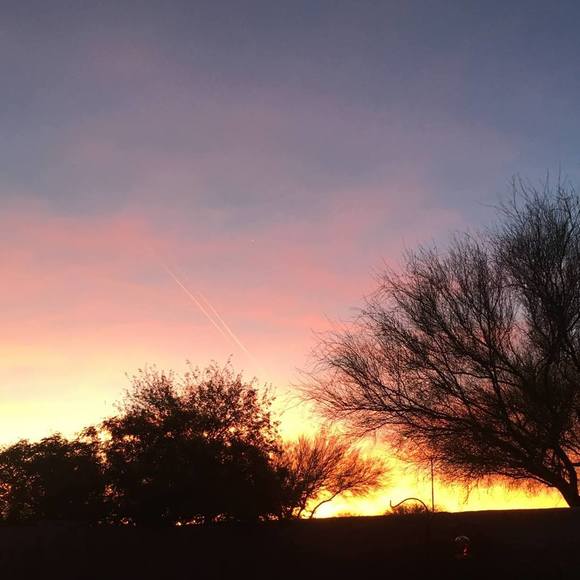 Profile Picture of Michele Mcley (@mb9sa2000) on Poshmark