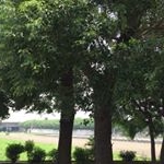 Profile Picture of 古藝品 (@guyipin) on Instagram