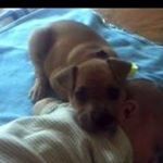 Profile Picture of Jorge Manuel Tabarez (@jorgemanueltabarez) on Instagram