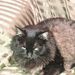 Profile Picture of Marshall Mimbs (@marshallmimbs) on Pinterest