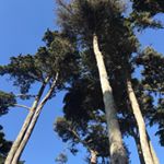 Profile Picture of Craig Stanton (@warriors3018) on Instagram
